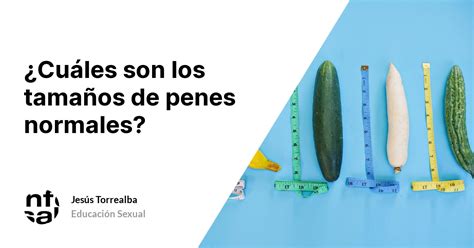 tamaños de penes fotos|Tamaño normal del pene: hasta qué edad crece (y otras dudas)